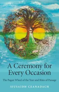 A Ceremony for Every Occasion — photo 2