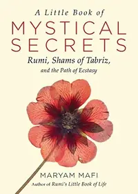 A Little Book of Mystical Secrets: Rumi, Shams of Tabriz, and the Path of Ecstasy — photo 2