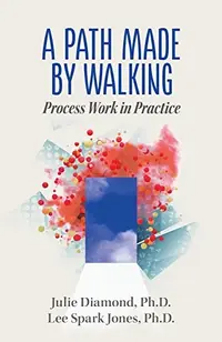 A Path Made by Walking: Process Work in Practice — photo 2