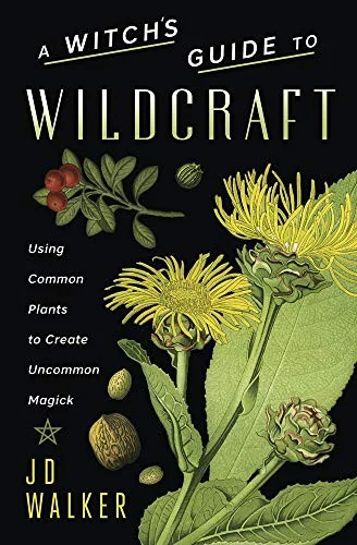 A Witch's Guide to Wildcraft: Using Common Plants to Create Uncommon Magick — photo 3