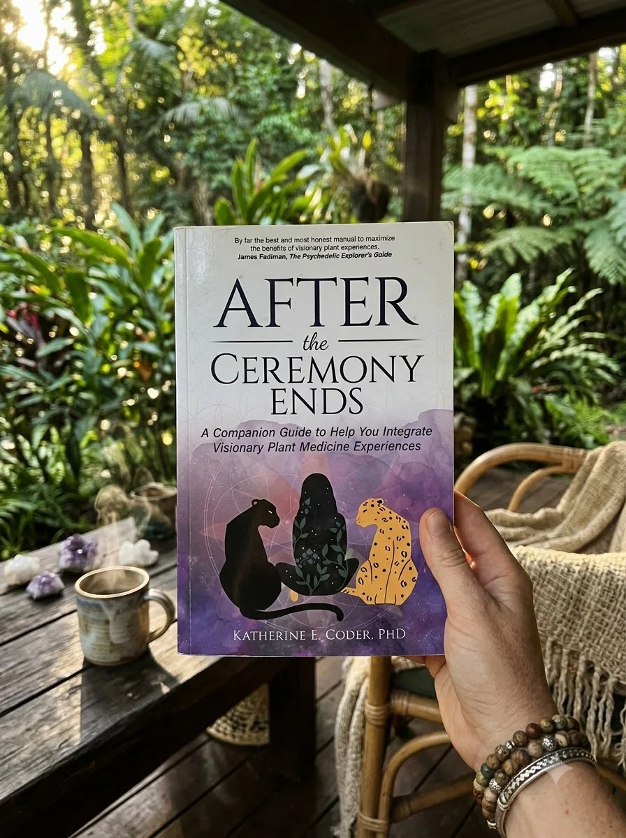 After the Ceremony Ends: A Companion Guide to Help You Integrate Visionary Plant Medicine Experiences — photo 2