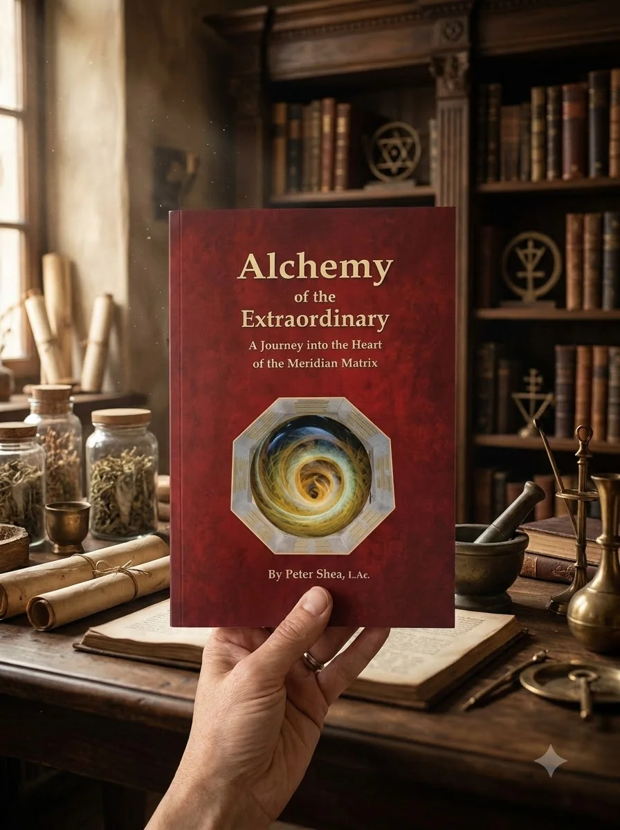 Alchemy of the Extraordinary: A Journey into the Heart of the Meridian Matrix — photo 2