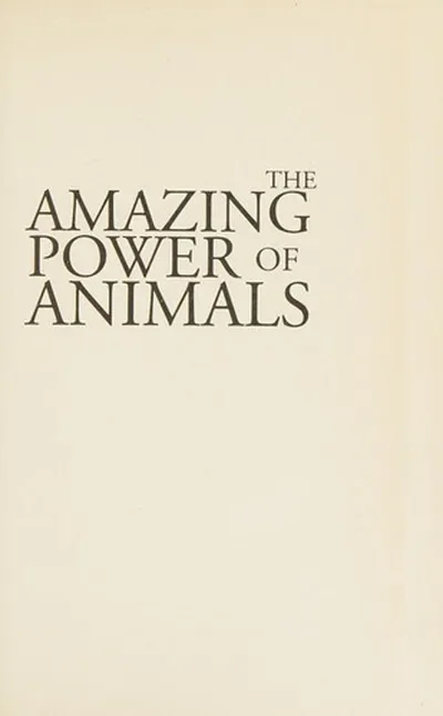 Amazing Power of Animals — dewey-133