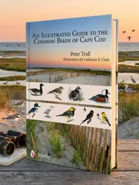 An Illustrated Guide to the Common Birds of Cape Cod — photo 1