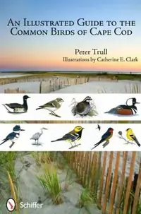 An Illustrated Guide to the Common Birds of Cape Cod — photo 2