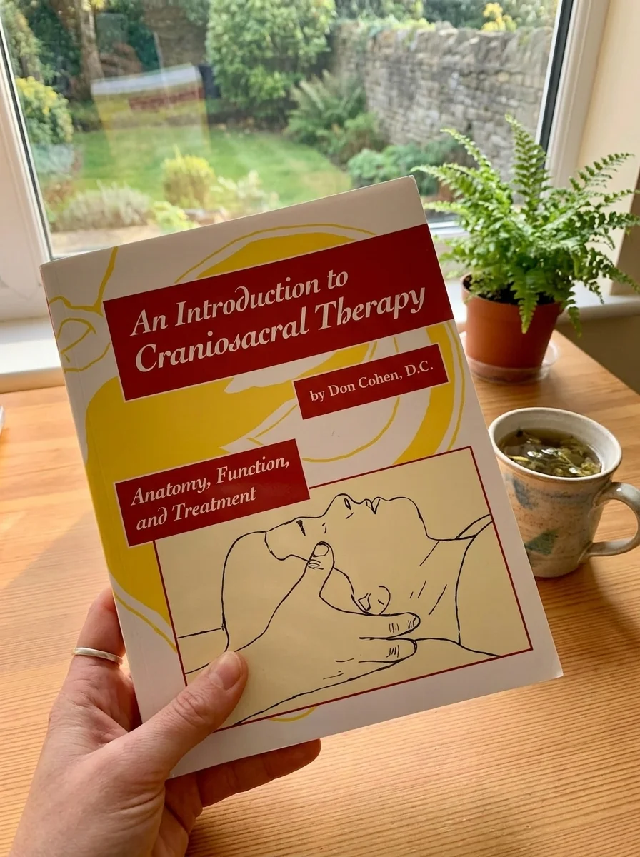An Introduction to Craniosacral Therapy: Anatomy, Function, and Treatment — photo 2
