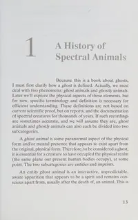 And the Cat Came Back: True Tales of Animal Spirit Hauntings Warren, Joshua P — photo 2