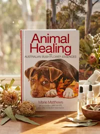 Animal Healing with Australian Bush Flower Essences — photo 1