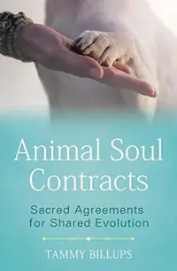 Animal Soul Contracts: Sacred Agreements for Shared Evolution — photo 2