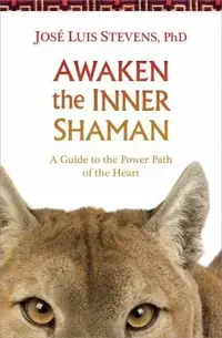 Awaken the Inner Shaman — photo 2
