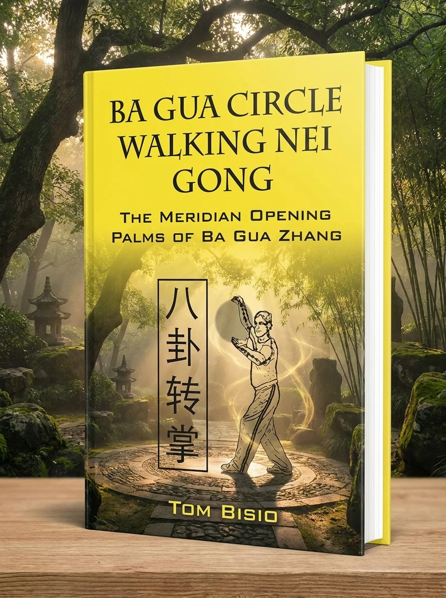 Ba Gua Circle Walking Nei Gong: The Meridian Opening Palms of Ba Gua Zhang