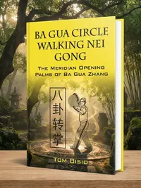 Ba Gua Circle Walking Nei Gong: The Meridian Opening Palms of Ba Gua Zhang — photo 1