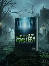 Bachelor's Grove Cemetery and Other Haunted Places of the Midwest Chandler, Matt — photo 1