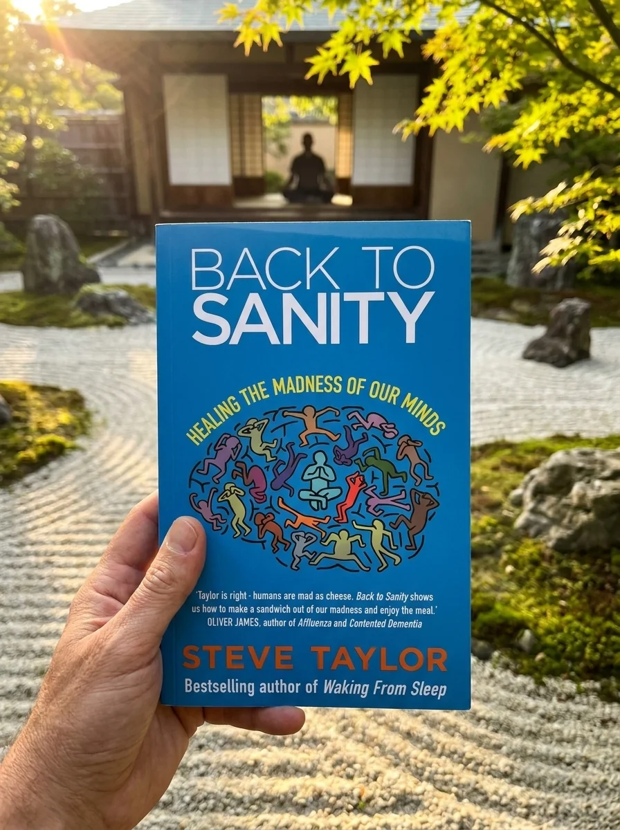 Back to Sanity: Healing the Madness of Our Minds — photo 2