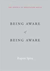 Being Aware of Being Aware — photo 2