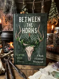 Between the Horns: A Book of Liminal Witchcraft — photo 1