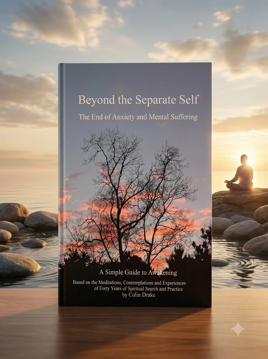 Beyond the Separate Self