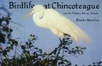 Birdlife at Chincoteague and the Virginia Barrier Islands — photo 2