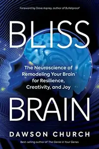 Bliss Brain: The Neuroscience of Remodeling Your Brain for Resilience, Creativity, and Joy — photo 2