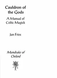 Cauldron of the Gods: a manual of Celtic magick — photo 2