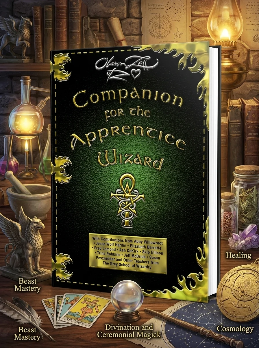 Companion for the Apprentice Wizard