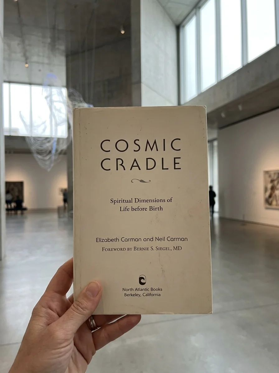 Cosmic Cradle: Spiritual Dimensions of Life Before Birth (Revised) — photo 2