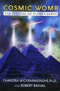 Cosmic Womb: The Seeding of Planet Earth — photo 2