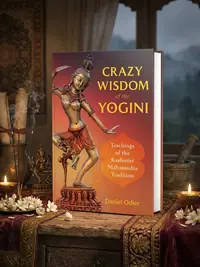 Crazy Wisdom of the Yogini: Teachings of the Kashmiri Mahamudra Tradition — photo 1