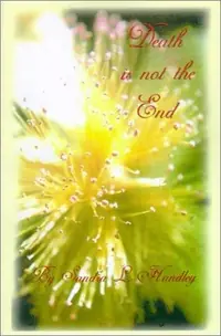Death is Not the End — photo 2
