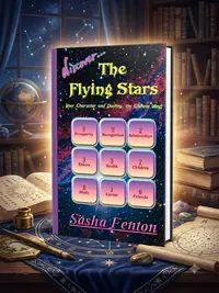 Discover the Flying Stars — photo 1