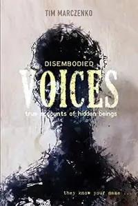Disembodied Voices: True Accounts of Hidden Beings — photo 2
