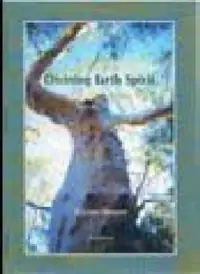Divining Earth Spirit (Revised) — photo 2