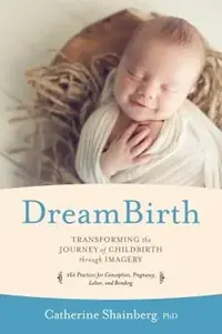 Dreambirth: Transforming the Journey of Childbirth Through Imagery — photo 2