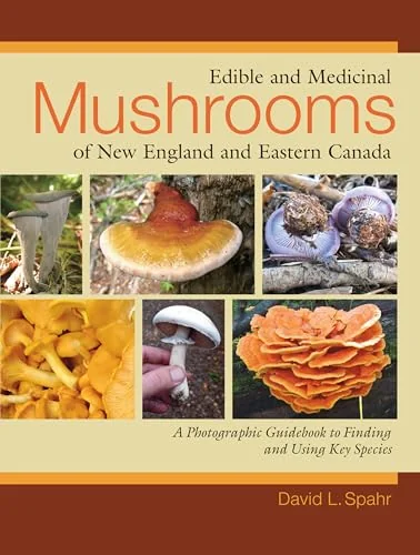 Edible and Medicinal Mushrooms of New England and Eastern Canada: A Photographic Guidebook to Finding and Using Key Species — photo 3
