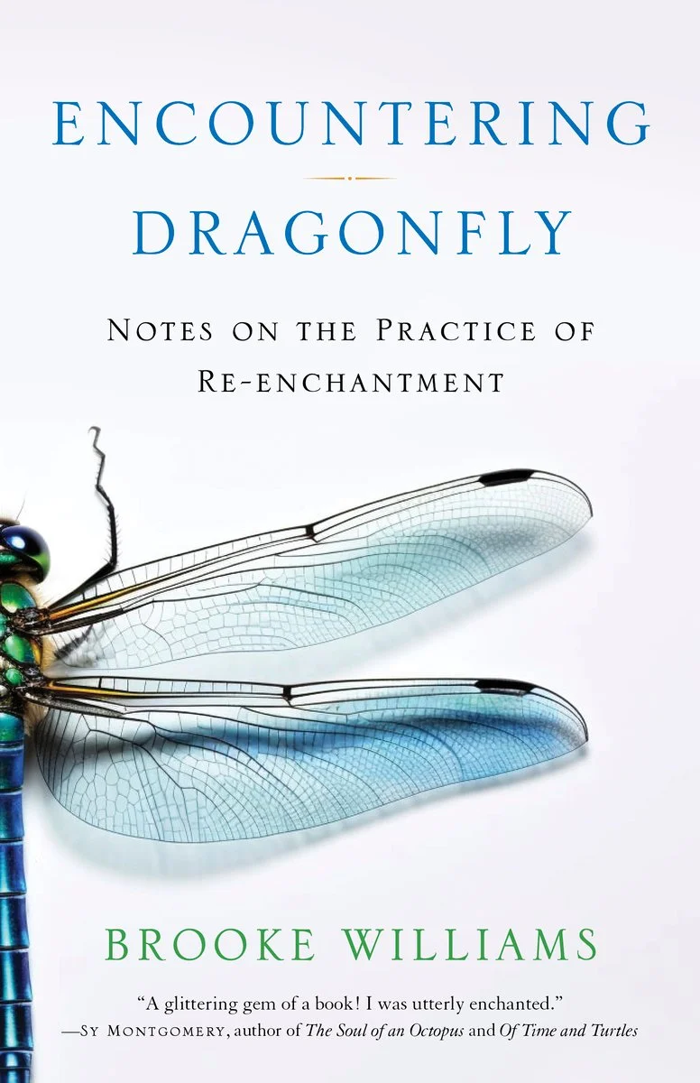 Encountering Dragonfly: Notes on the Practice of Re-Enchantment — photo 2