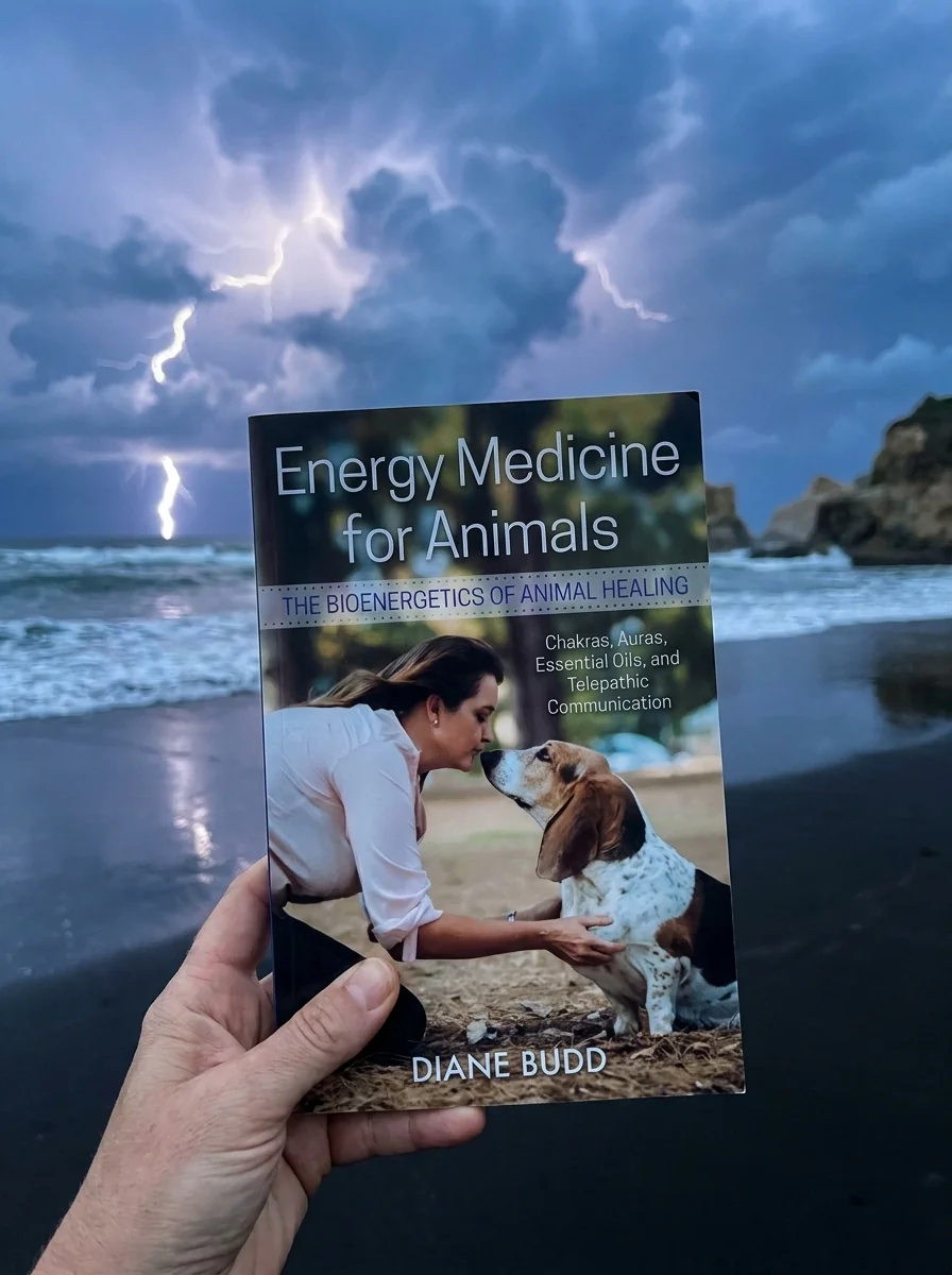 Energy Medicine for Animals: The Bioenergetics of Animal Healing (Edition, Revised of Healing Touch) — photo 2
