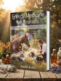 Energy Medicine for Animals: The Bioenergetics of Animal Healing (Edition, Revised of Healing Touch) — photo 1