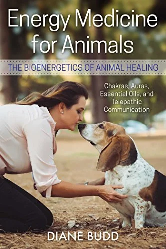 Energy Medicine for Animals: The Bioenergetics of Animal Healing (Edition, Revised of Healing Touch) — photo 3