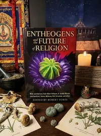 Entheogens and the Future of Religion — photo 1