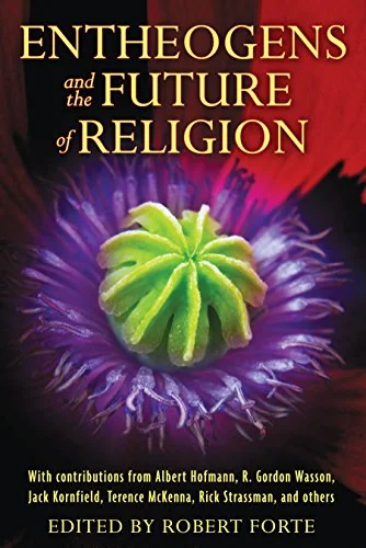 Entheogens and the Future of Religion — photo 3
