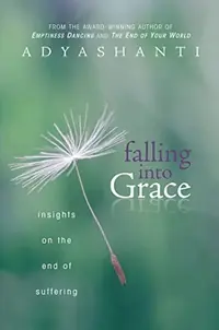 Falling Into Grace: Insights on the End of Suffering — photo 2