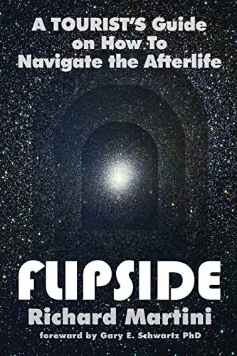 Flipside: A Tourist's Guide on How to Navigate the Afterlife — photo 3