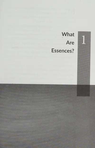 Flower Essences Plain & Simple: The Only Book You'll Ever Need Perry, Linda — dewey-pub:Hampton Roads Publishing