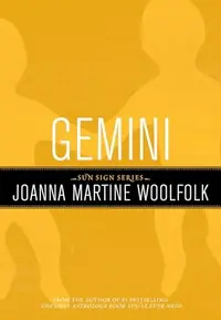 Gemini — photo 2