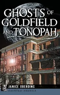 Ghosts of Goldfield and Tonopah — photo 2