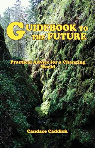 Guidebook to the Future — photo 3