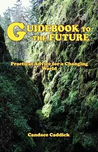 Guidebook to the Future — photo 2