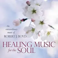 Healing Music for the Soul CD — photo 2