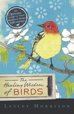 Healing Wisdom of Birds: An Everyday Guide to Their Spiritual Songs & Symbolism — photo 3
