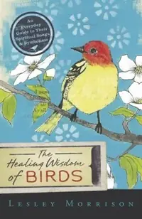 Healing Wisdom of Birds: An Everyday Guide to Their Spiritual Songs & Symbolism — photo 2